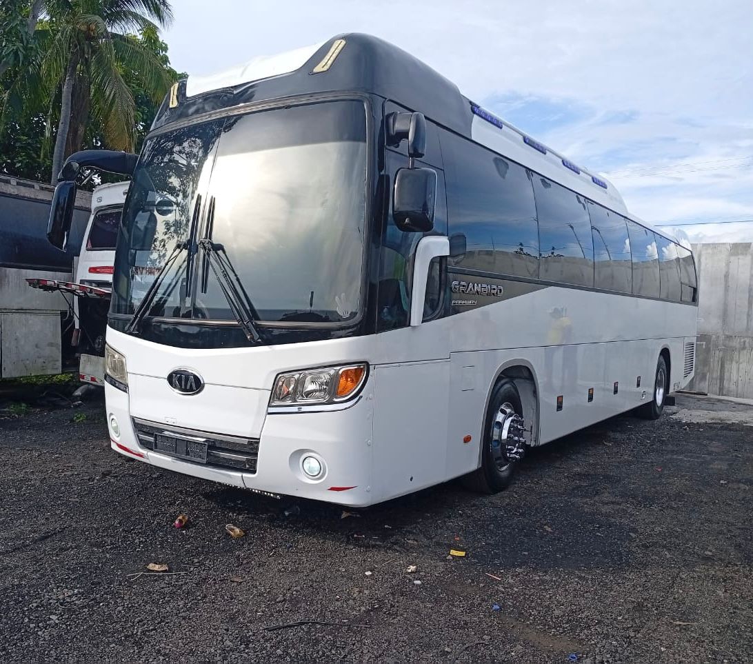 Bus
